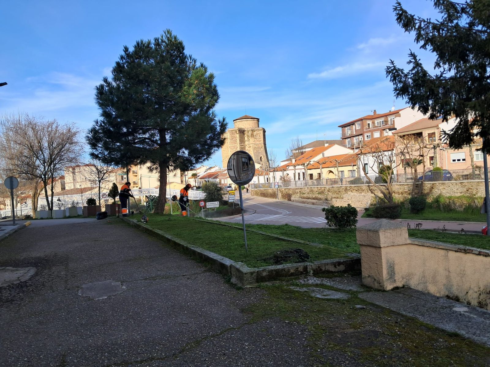 Mantenimiento y jardinería en alba febrero 2026 (2)