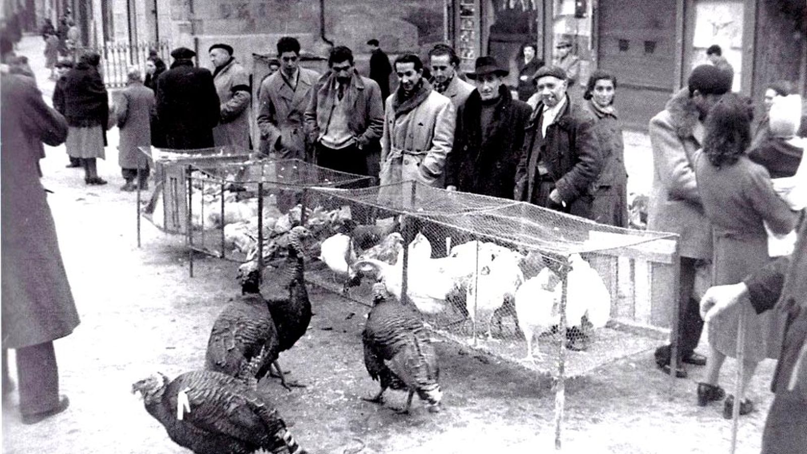 Mercadillo de aves en la plaza del Ángel. Guzmán Gombau