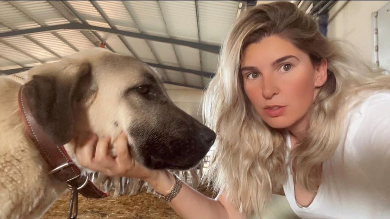 Maria del Camino Limia