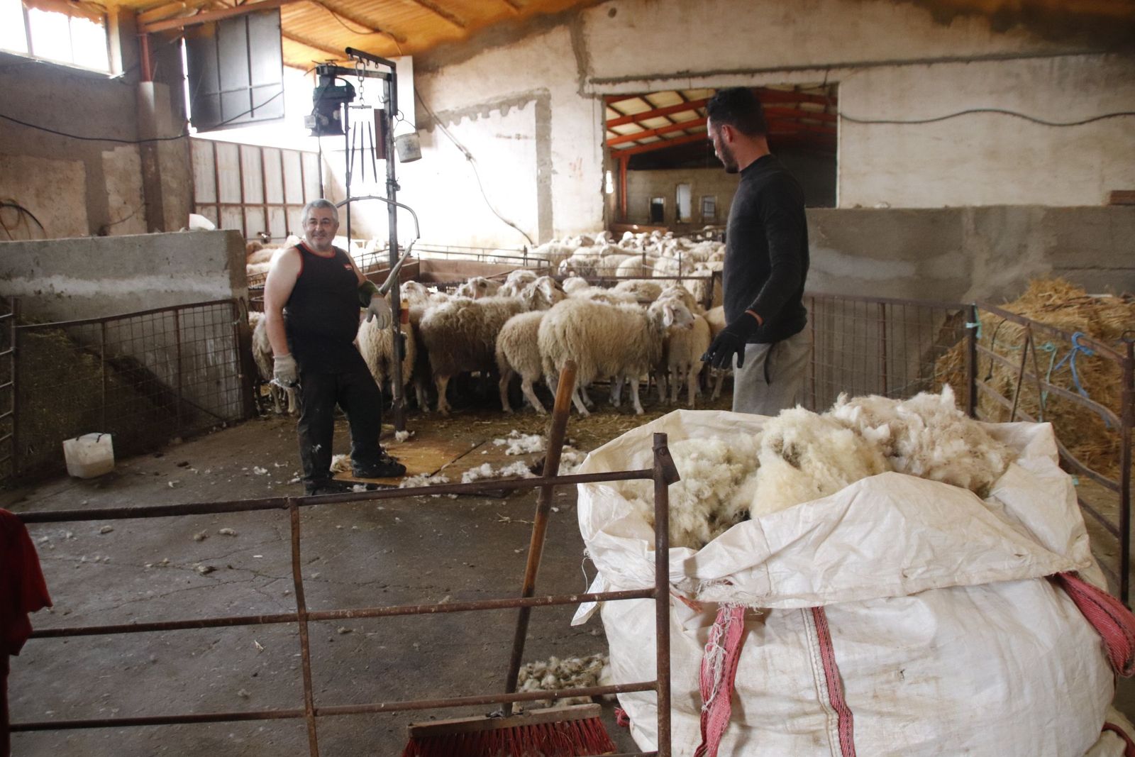 20220520103217-mg-8479