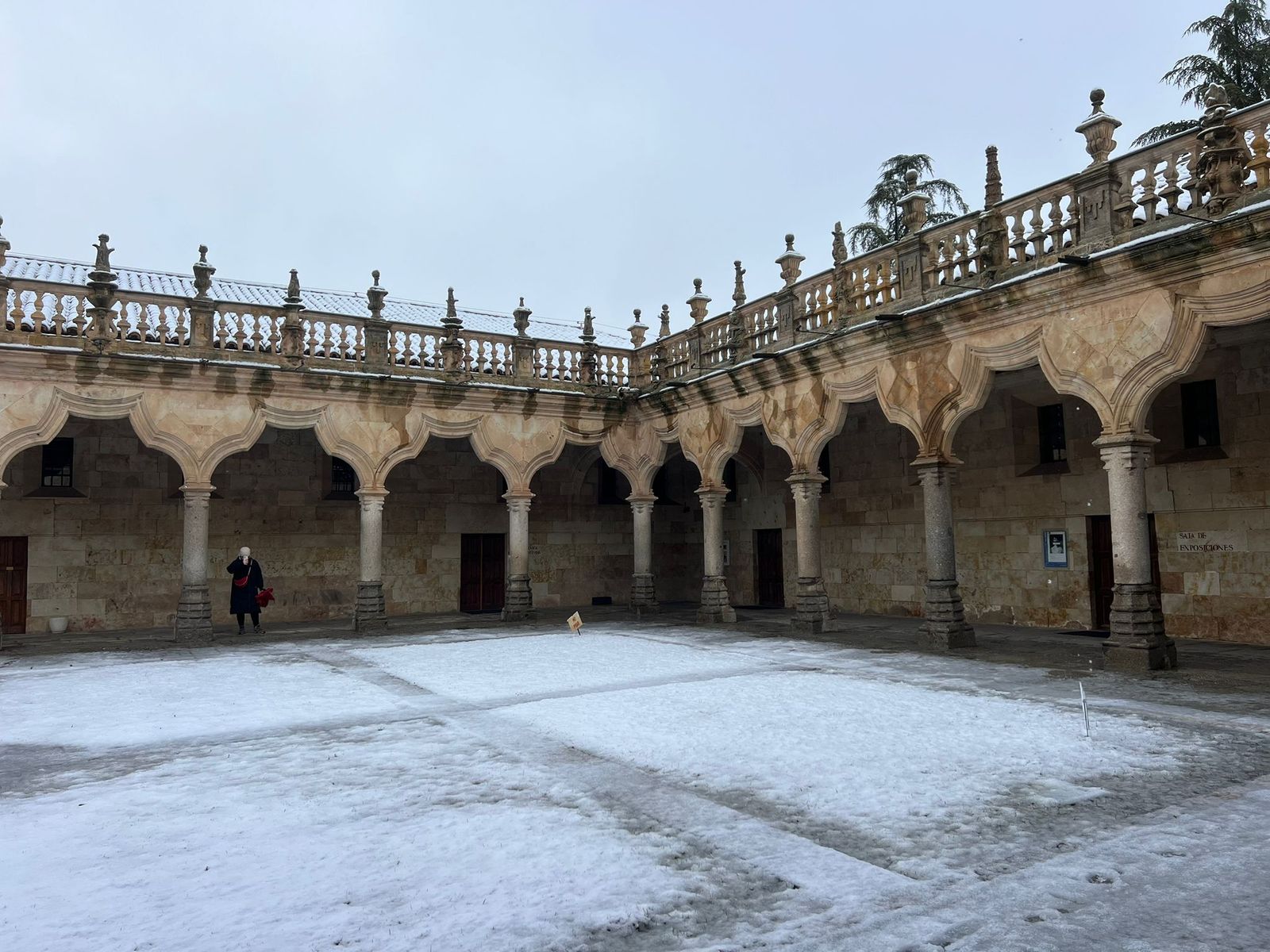 La nieve anega carreteras y tiñe de blanco Salamanca capital y provincia: imágenes de la nevada de este 28 de enero