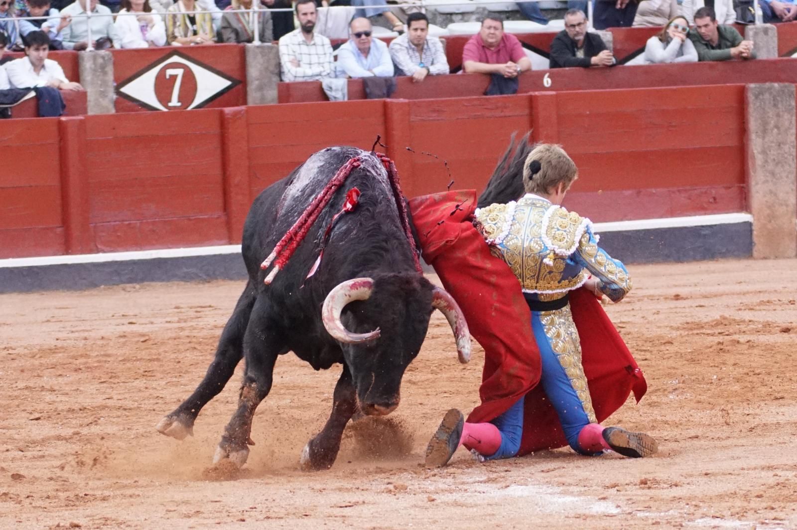 corrida-concurso-momentos-mas-destacados-del-ultimo-festejo-de-abono-de-la-feria-taurina-virgen-de-la-vega-2024-fotos-carlos-h-g-y-juanes-1
