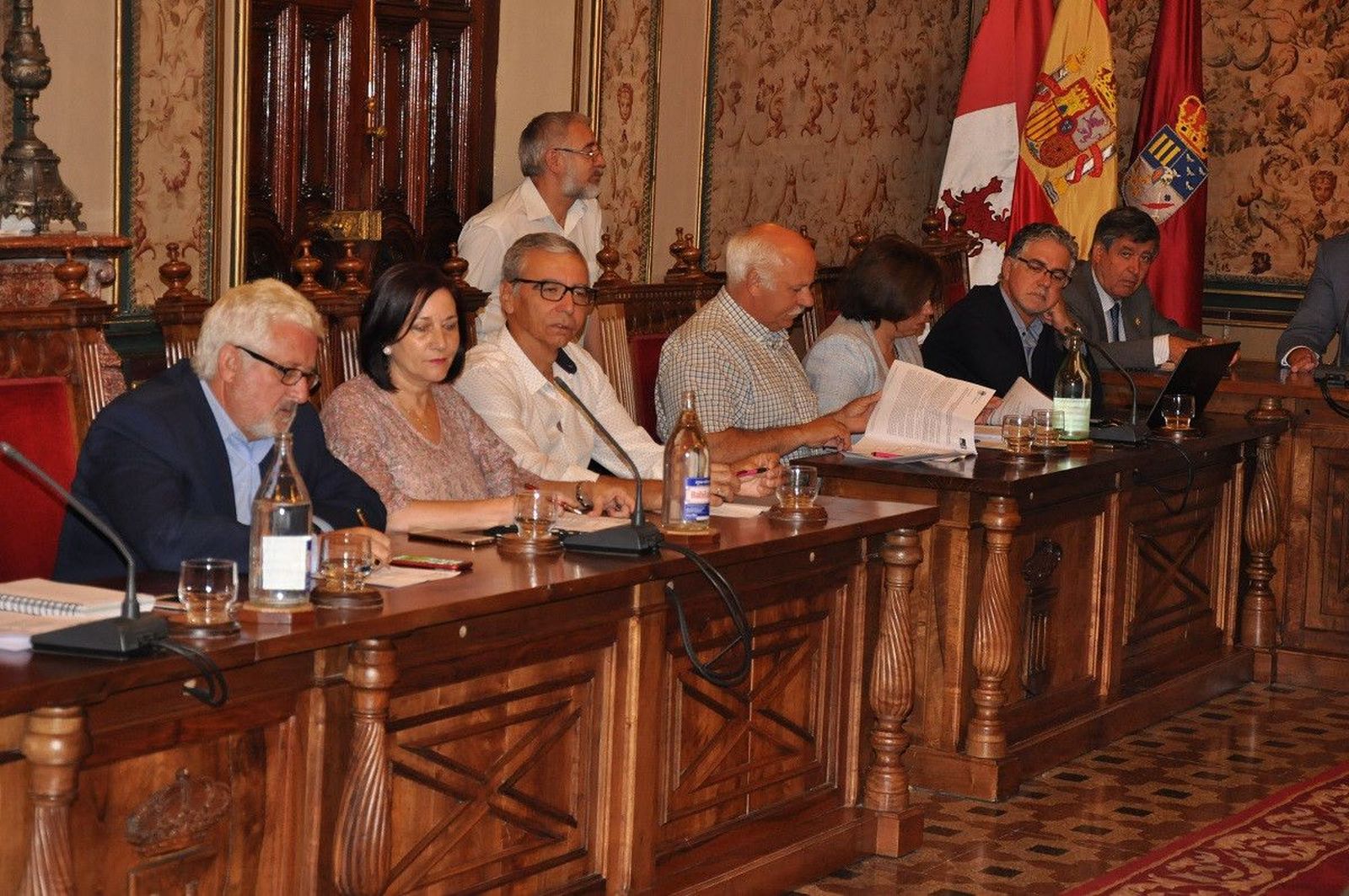 Pleno ordinario Salina 2