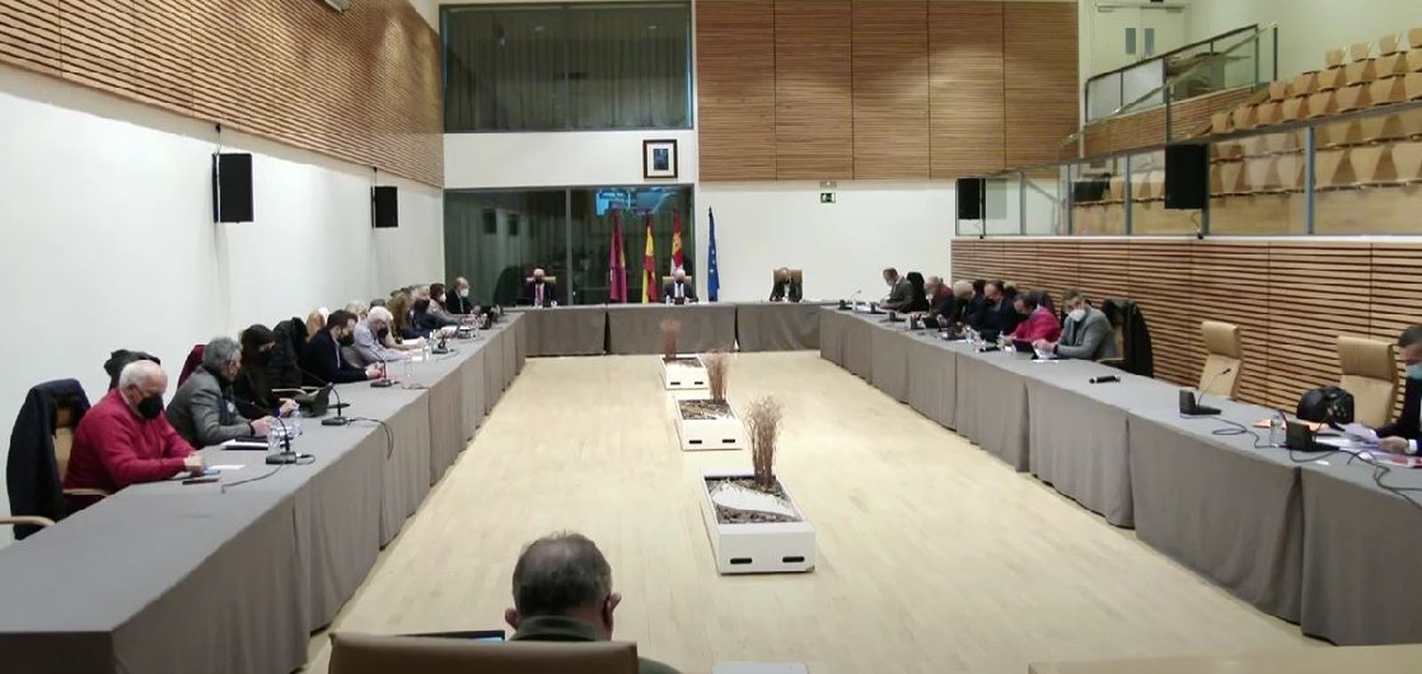 Pleno  Diputación