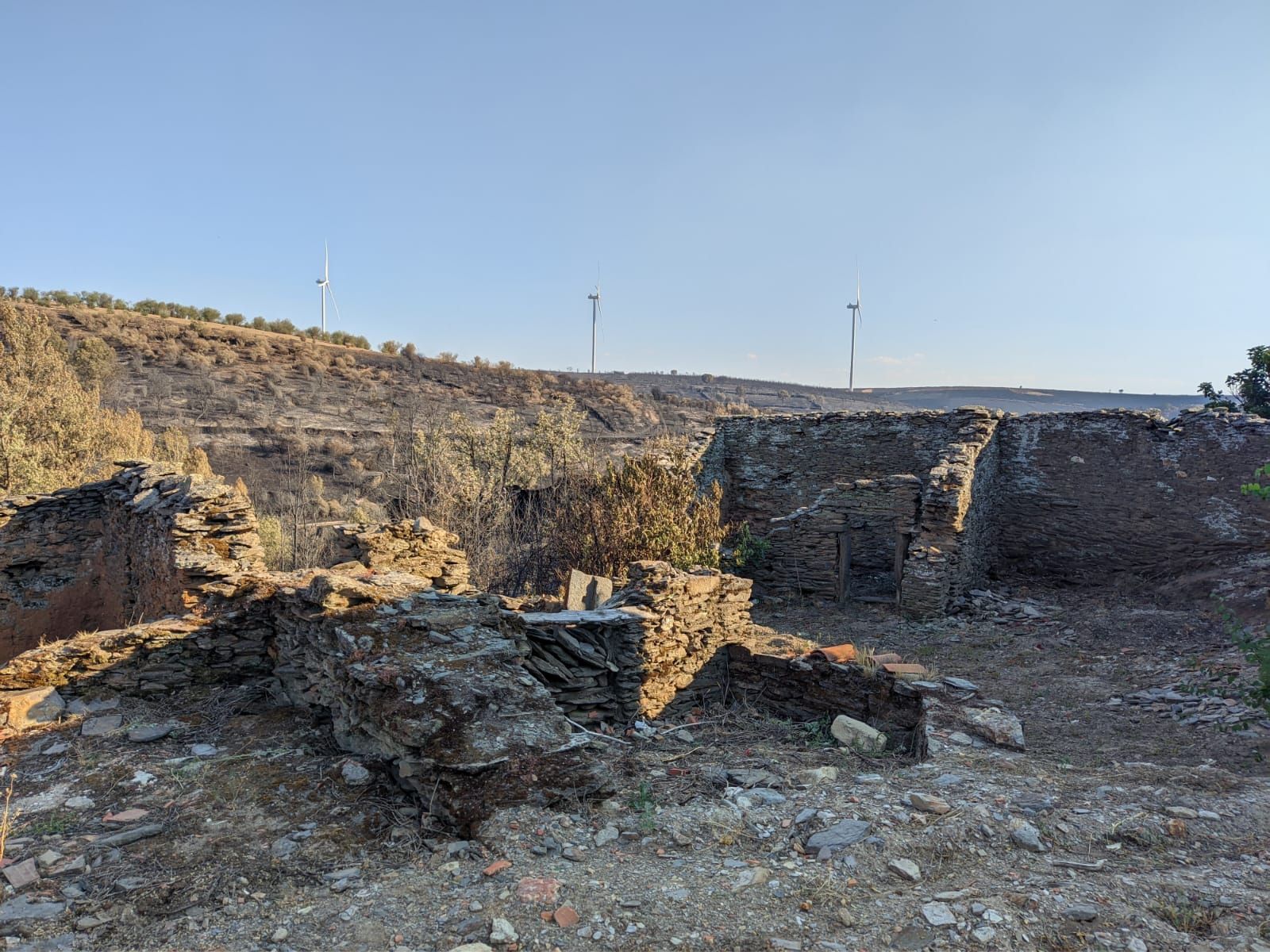 Las heridas del fuego en Losacio (33)