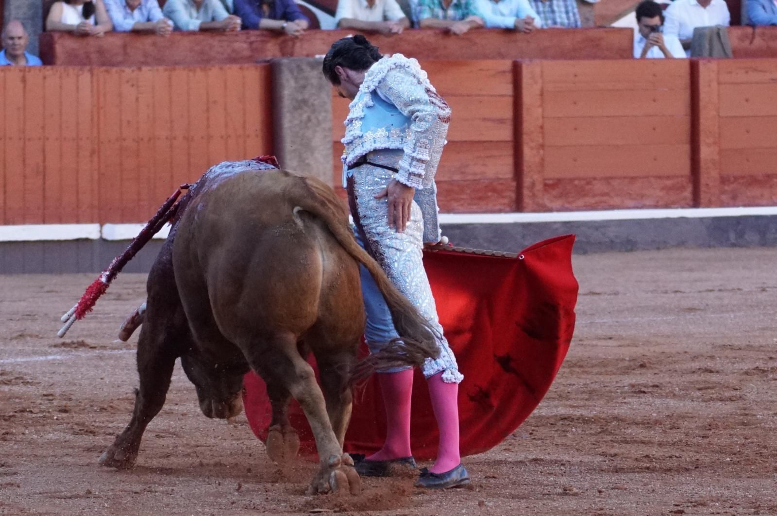 Emilio de Justo, Juan Ortega y Roca Rey inauguran el cartel de figuras en la feria de Salamanca: la corrida de Garcigrande en imágenes