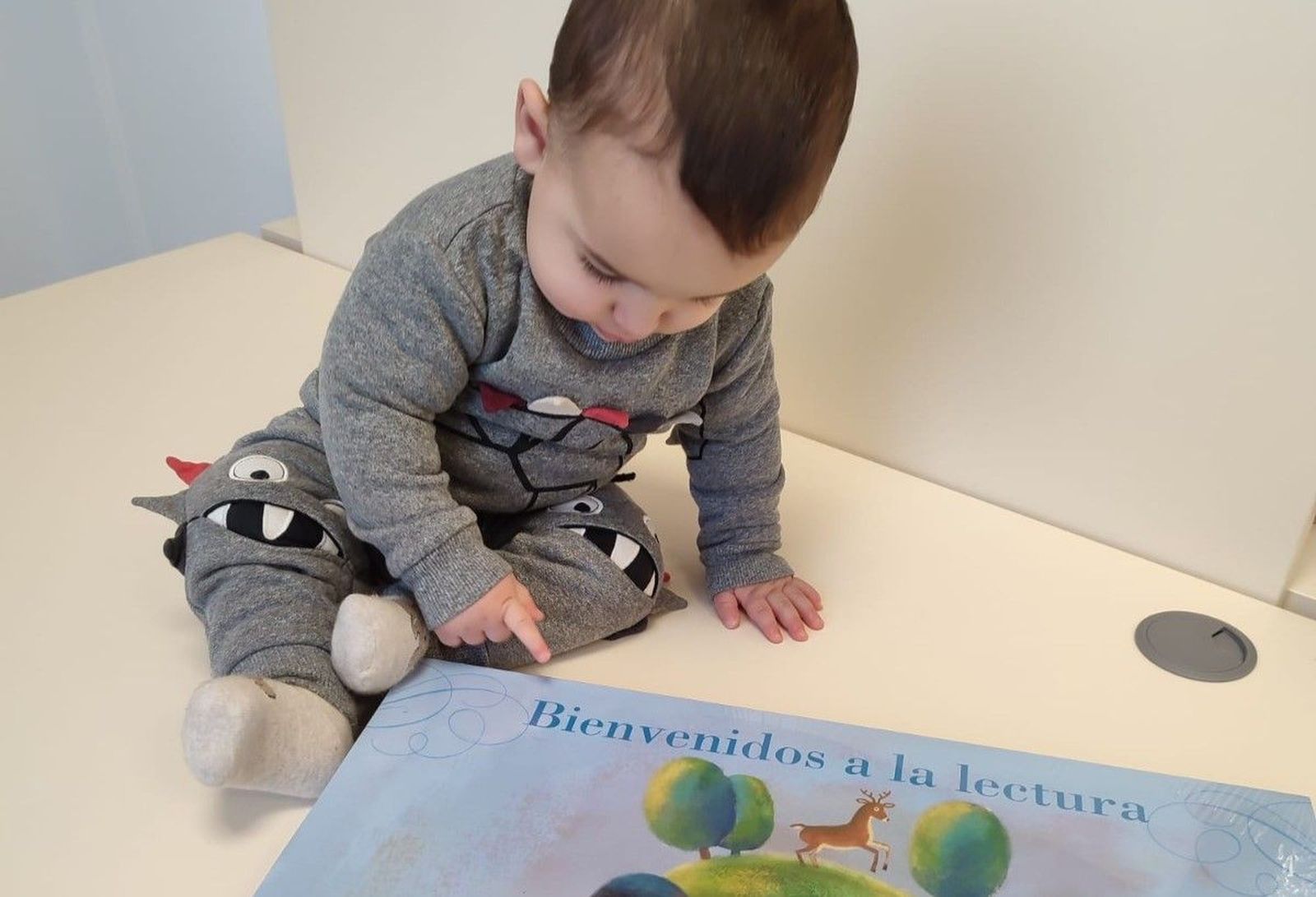 'Bienvenidos a la lectura' 'Bienvenidos a la lectura'