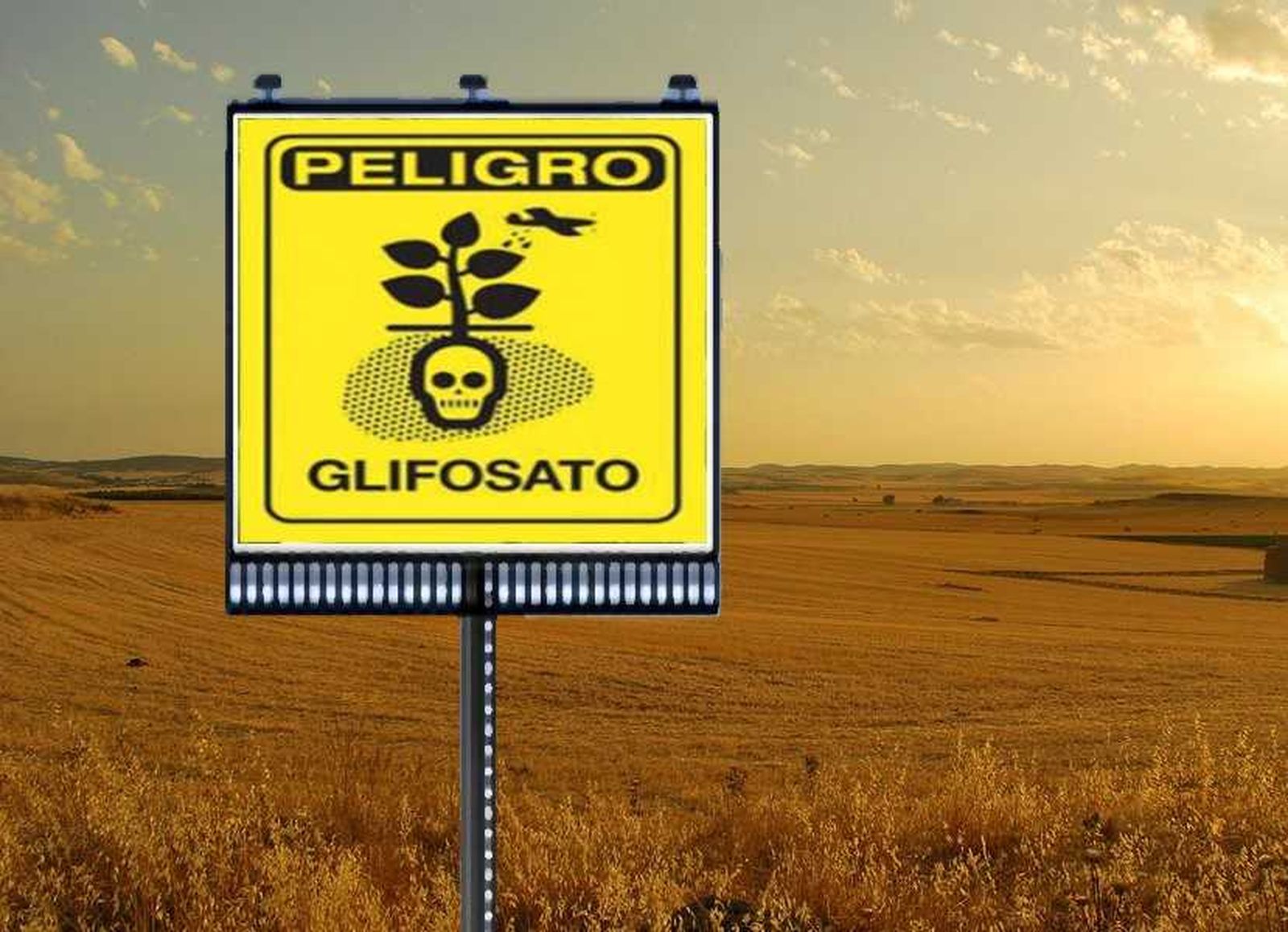 Glifosato. Ecologistas en Acción