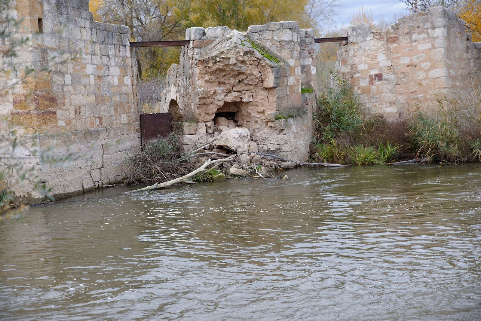ACEÑAS DE GIJON  03