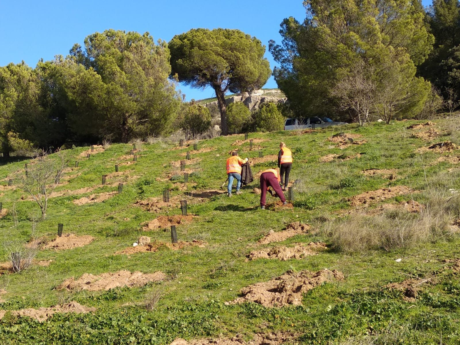 WhatsApp Image 2020 02 06 at 12.48.16