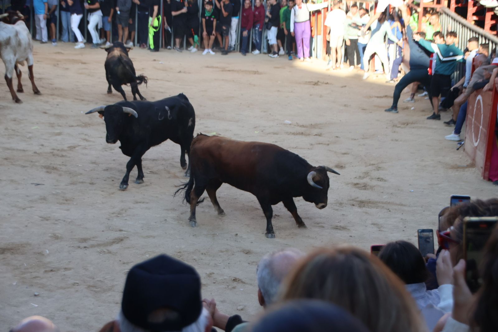 Encierro en Aldeadávila