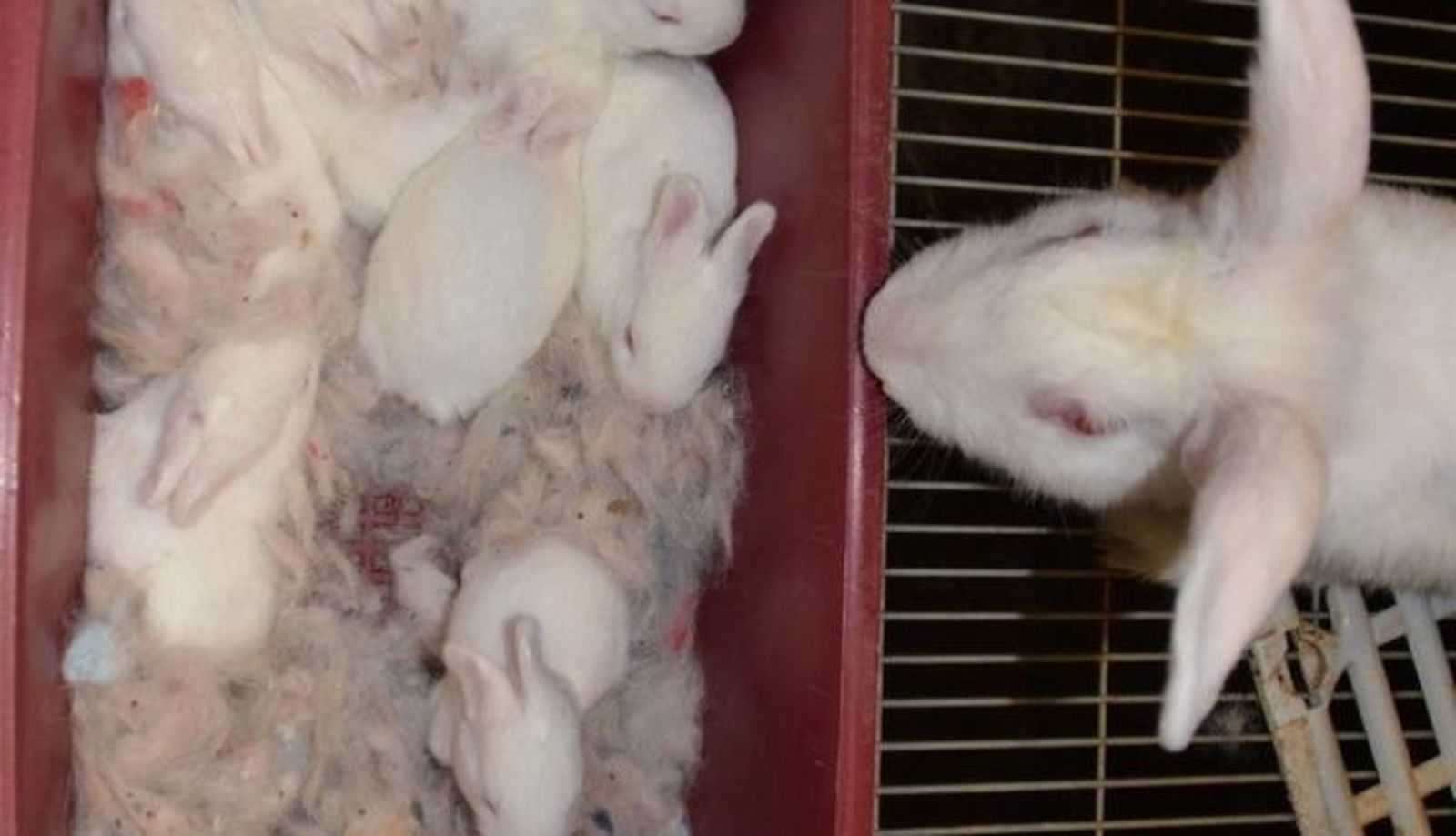 fotonoticia 20231016103851 690