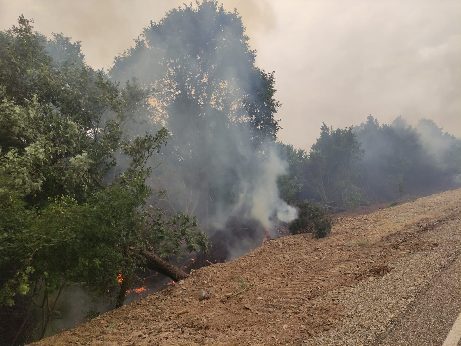 Incendio Sierra de la Culebra