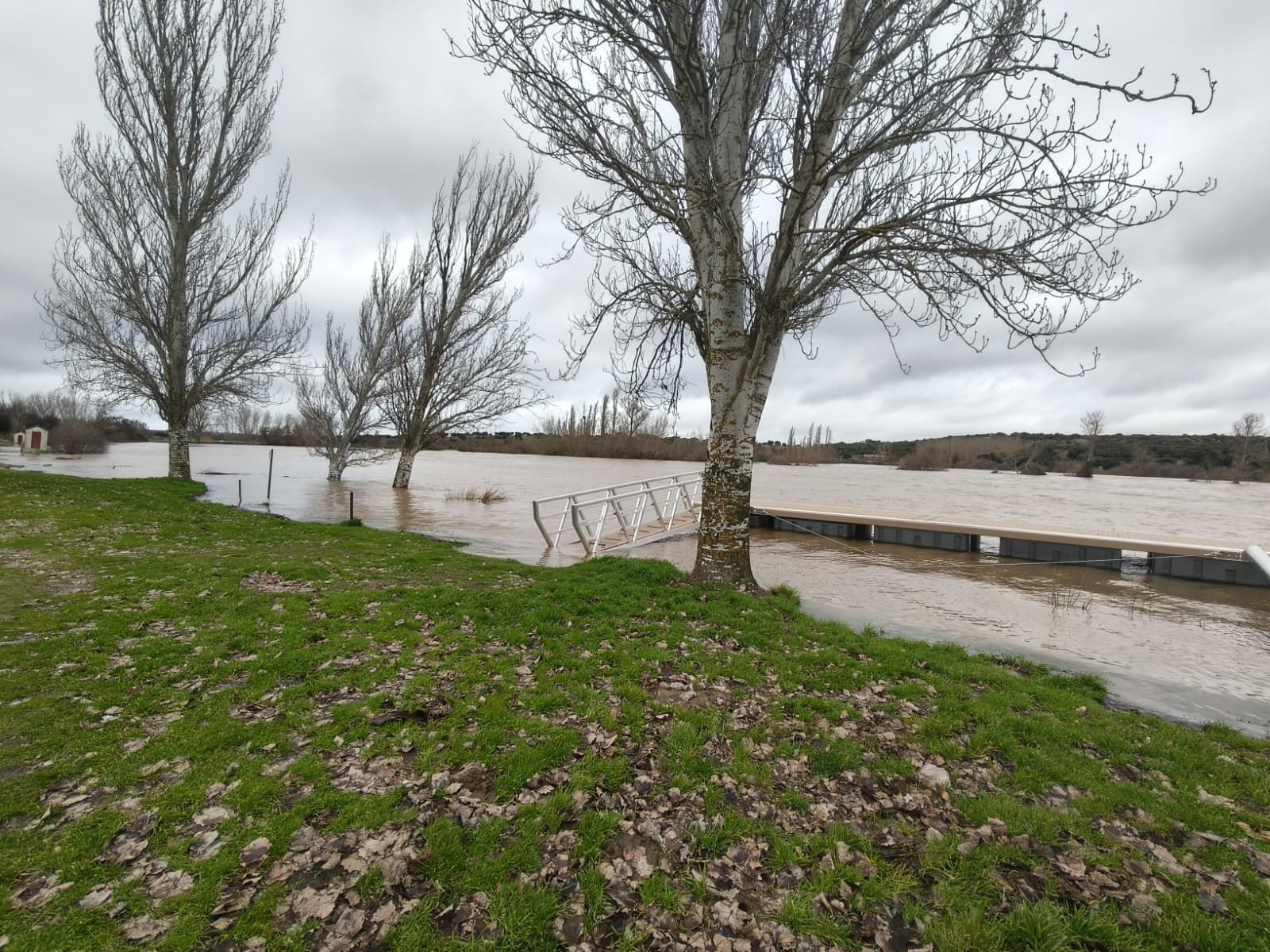El Tormes desbordado en Ledesma  (2).jpeg