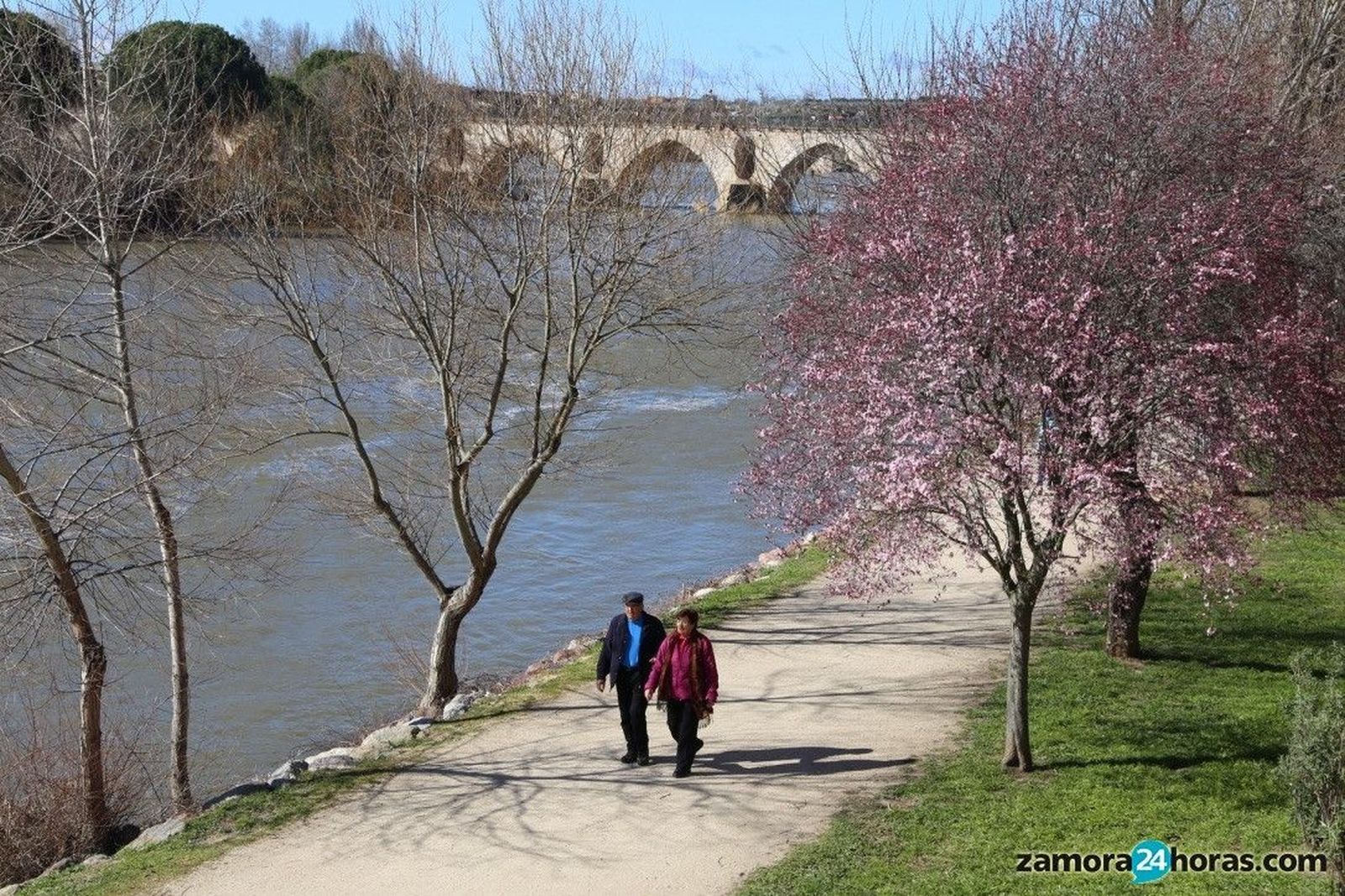 Sol durante el día y heladas nocturnas
