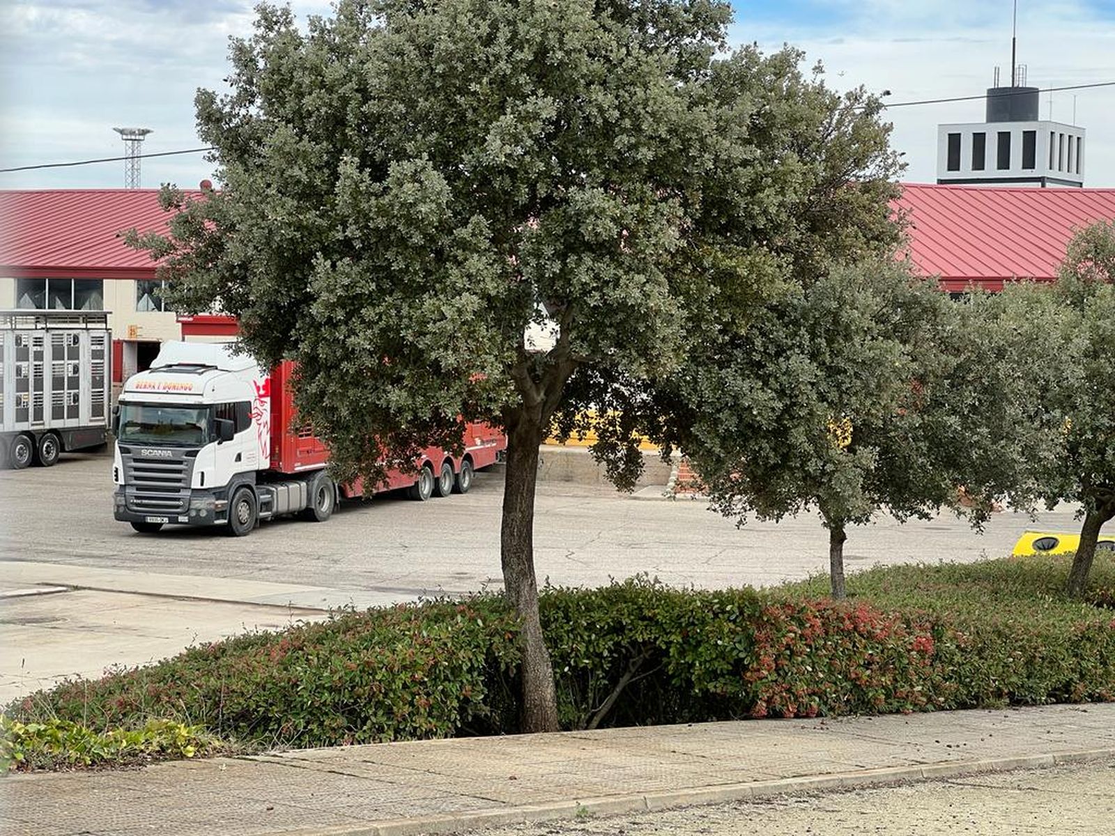 Mercado de ganados, Recinto Ferial