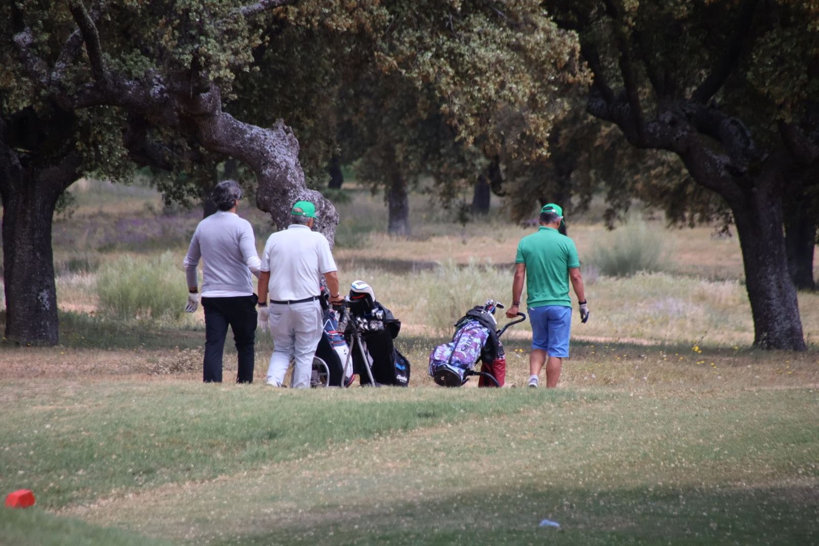 20230504132412-img-1383