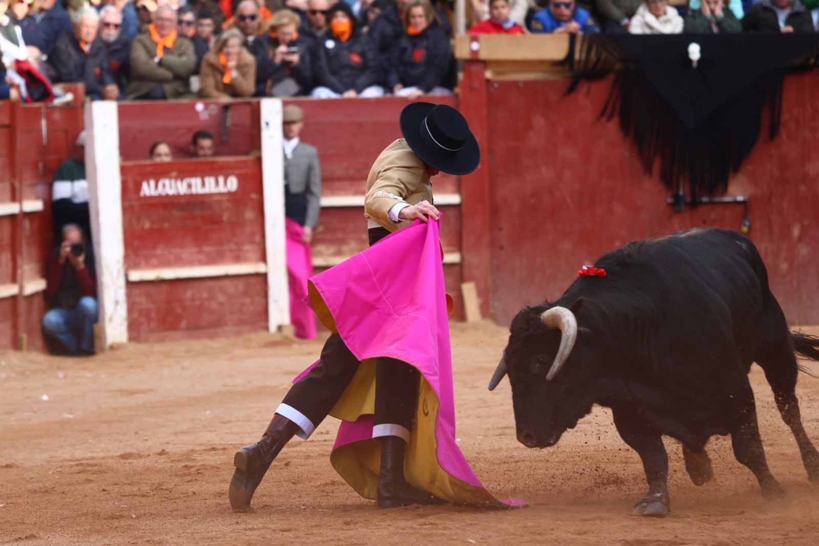 Festival del martes en el Carnaval del Toro 2026
