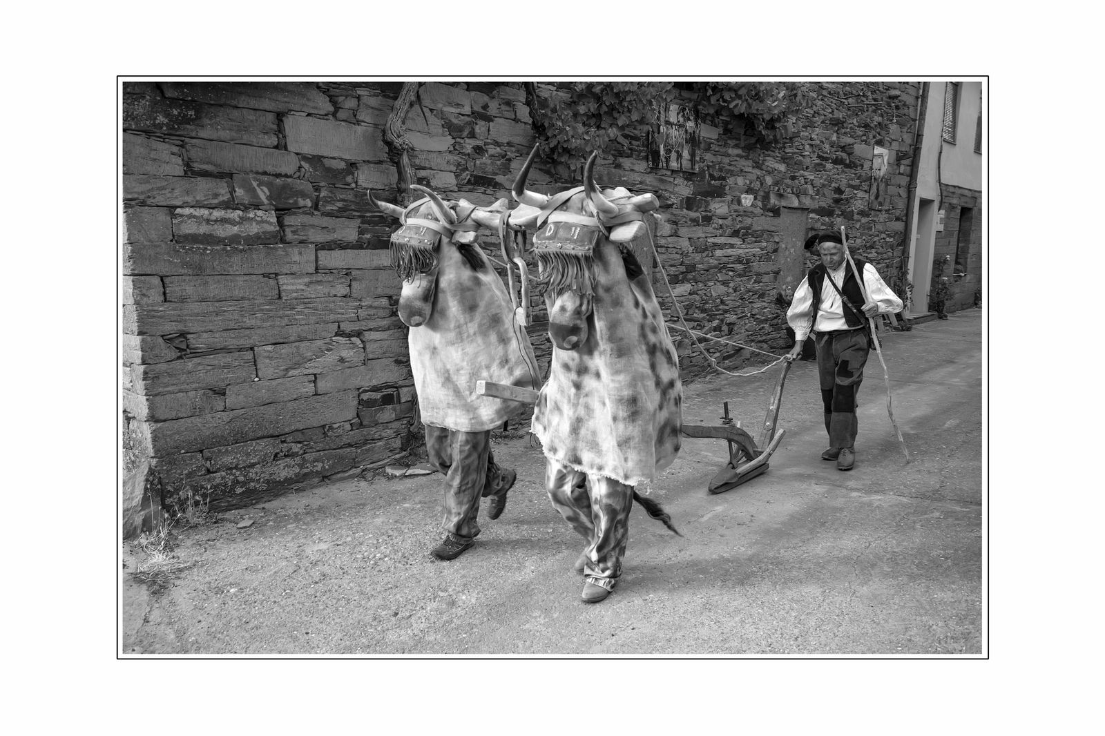 Estos son los ganadores de los Premios Diego de Losada de Poesía y Fotografía 2025