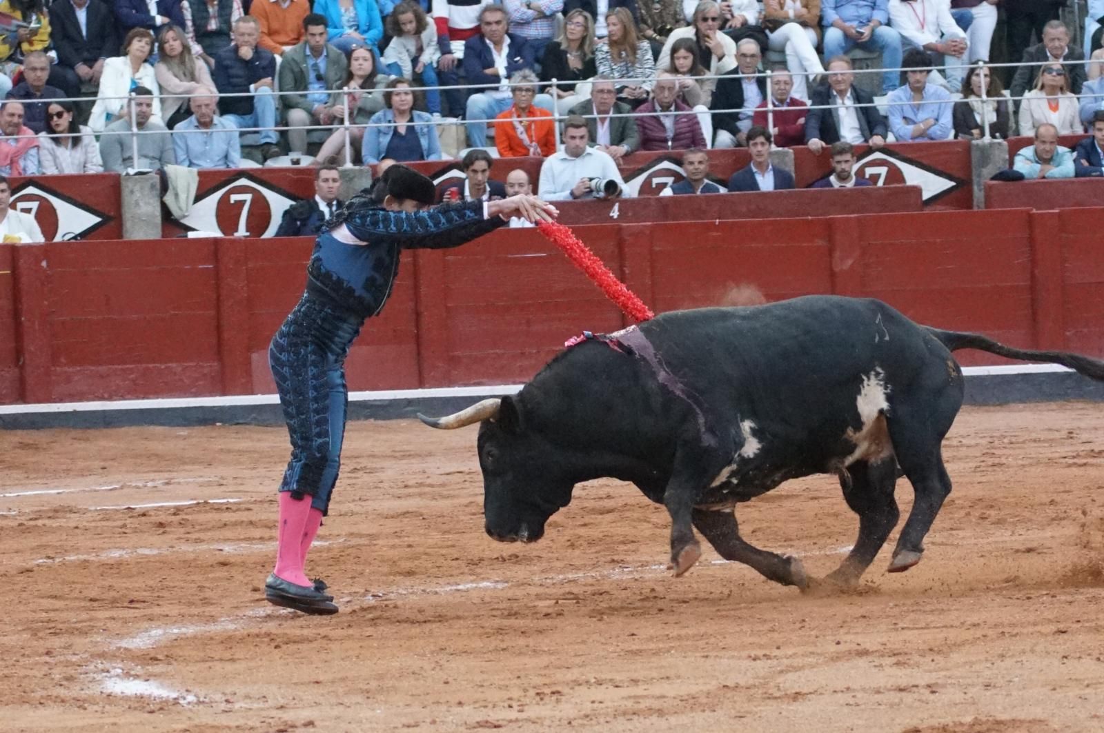 corrida-concurso-momentos-mas-destacados-del-ultimo-festejo-de-abono-de-la-feria-taurina-virgen-de-la-vega-2024-fotos-carlos-h-g-y-juanes-15