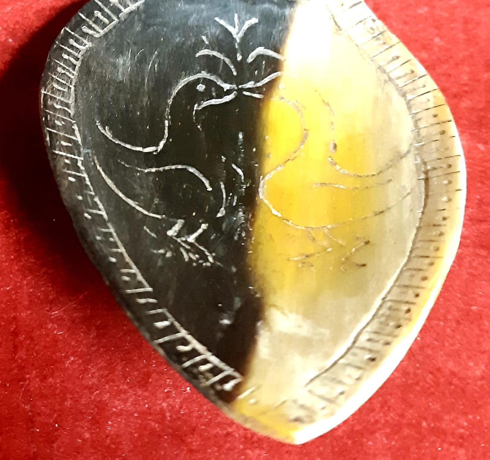 whatsapp-image-2024-03-16-at-12-36-14