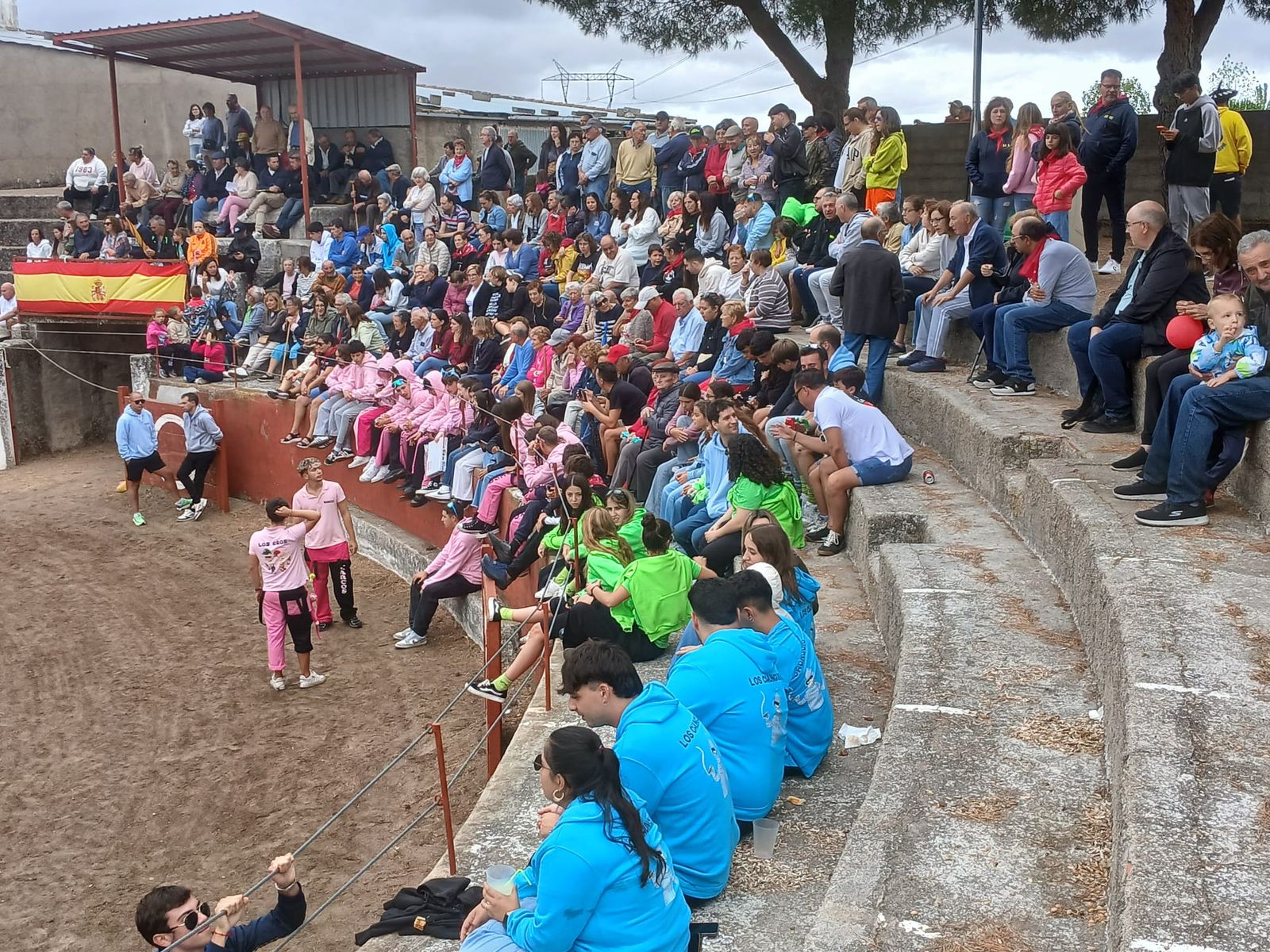 Segundo encierro con novillos de Valdeflores en Pereña de la Ribera