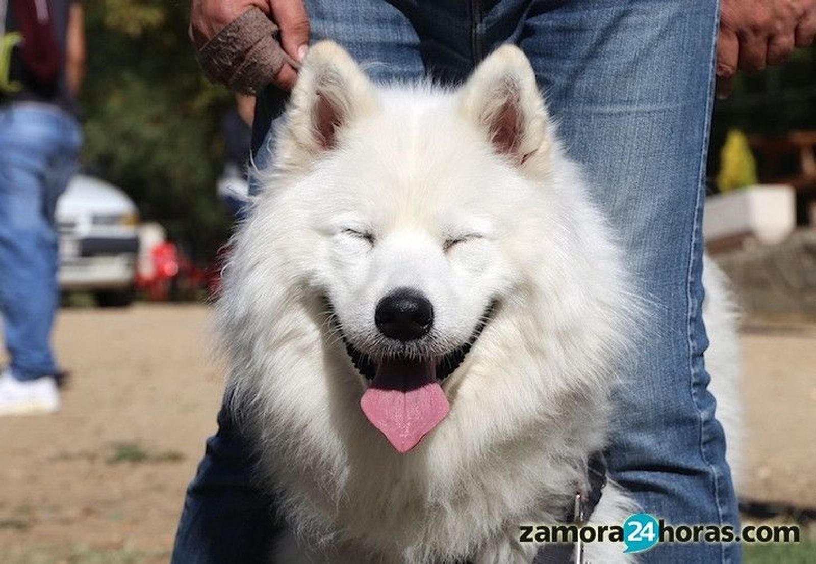 II Encuentro Mascotero 'Guaupísimos' 2016 - Merenduero