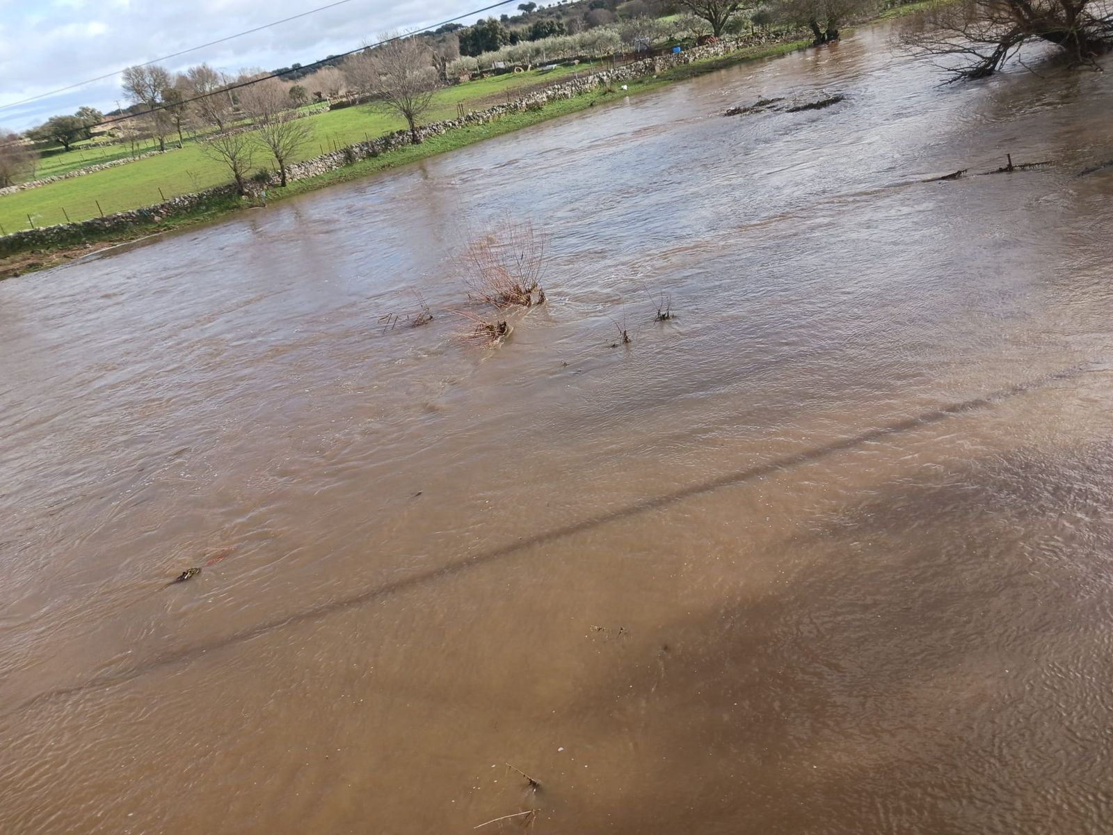 imagen-de-whatsapp-2024-01-17-a-las-18-28-27-de3d7105