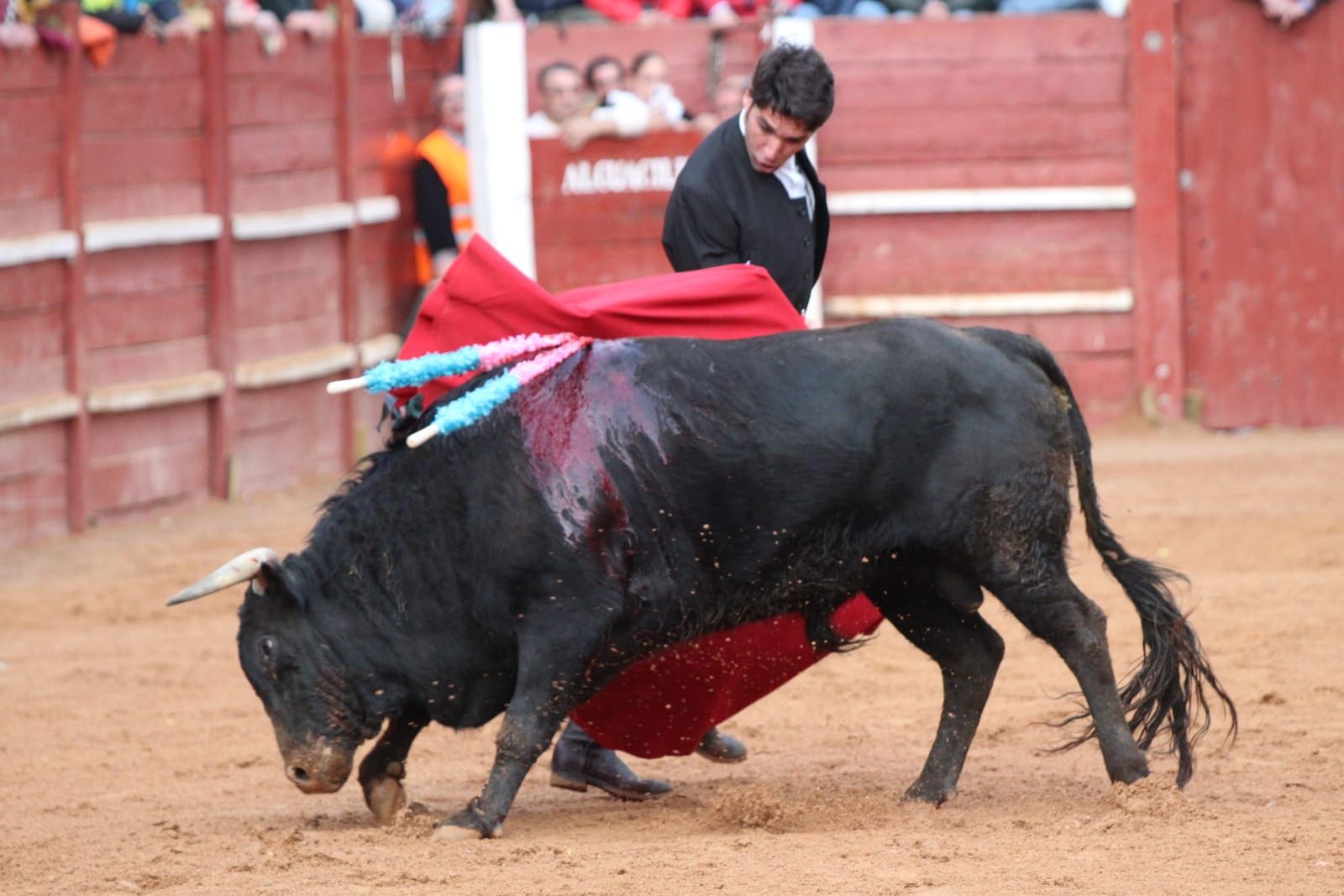 whatsapp-image-2023-02-21-at-17-34-35