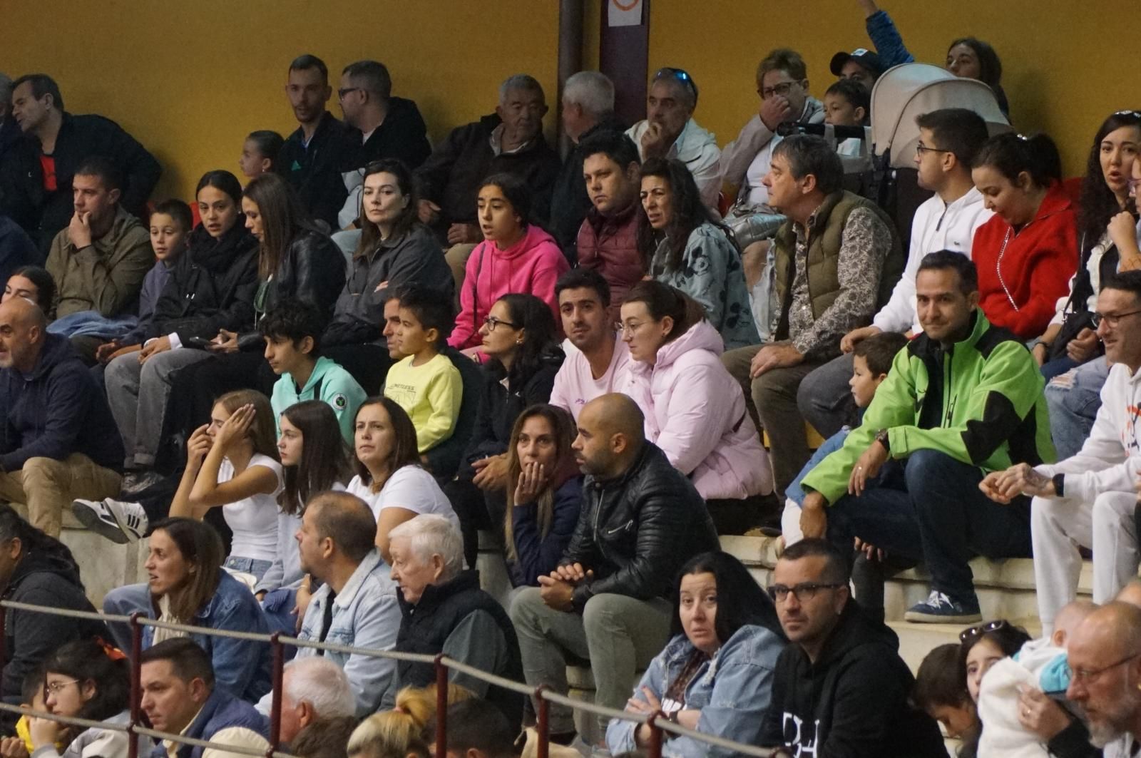 Alba de Tormes celebra un encierro, capea y encierro de minibueyes