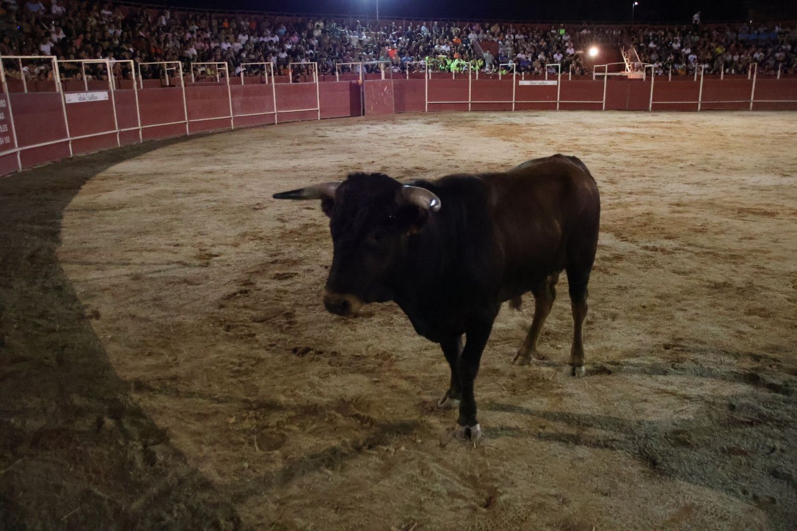 20230814214518-img-2143