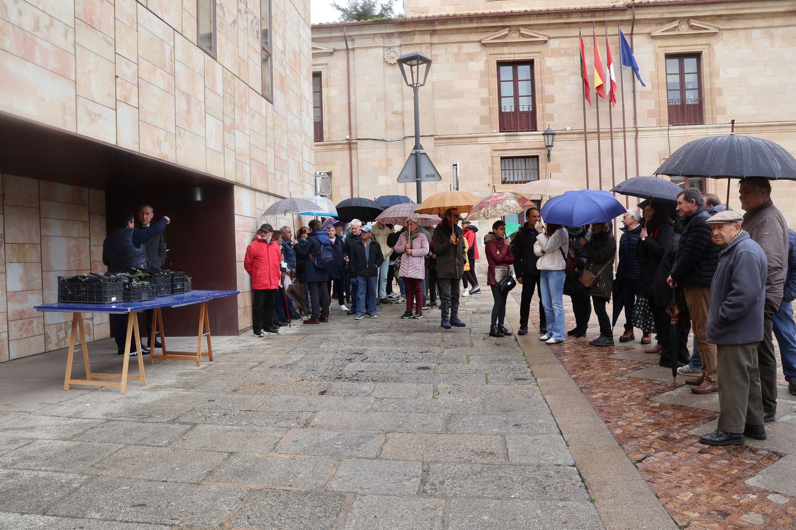 Día del Árbol Zamora 2025