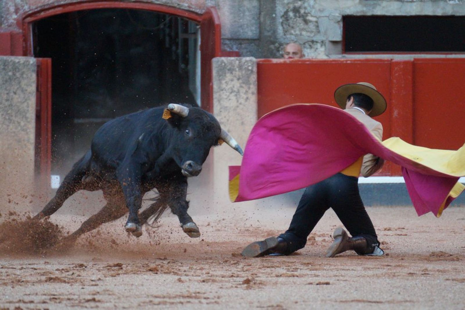 clase-practica-de-tauromaquia-33