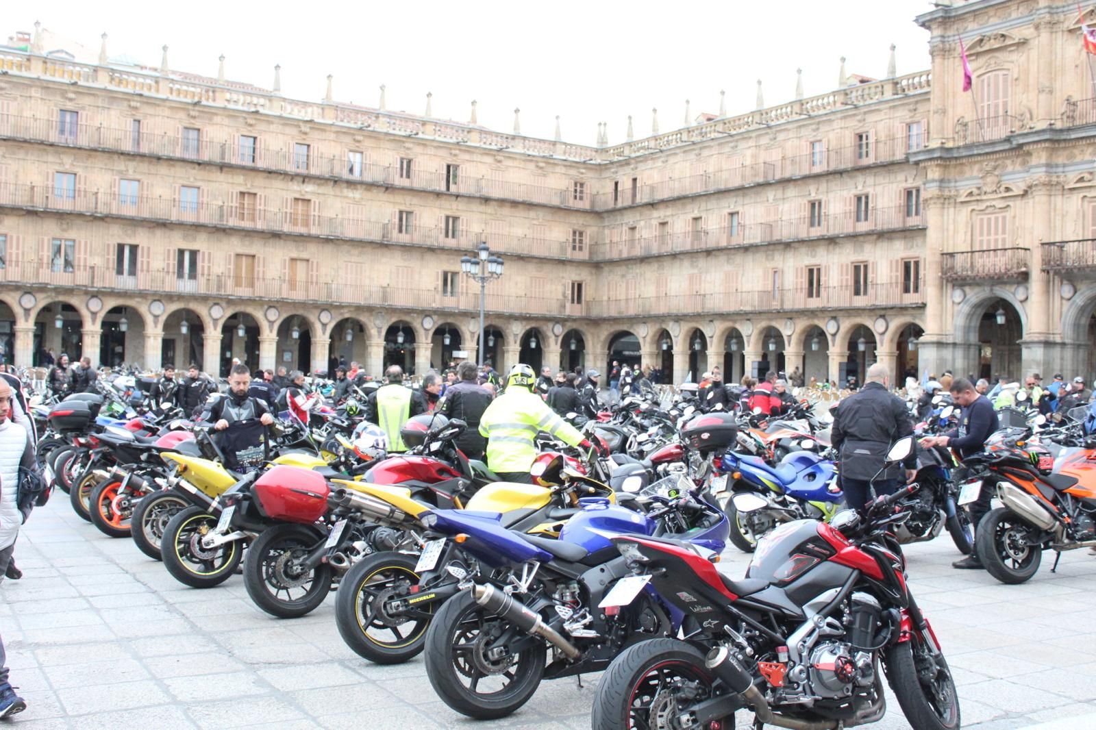 whatsapp-image-2025-03-02-at-10-18-52-19