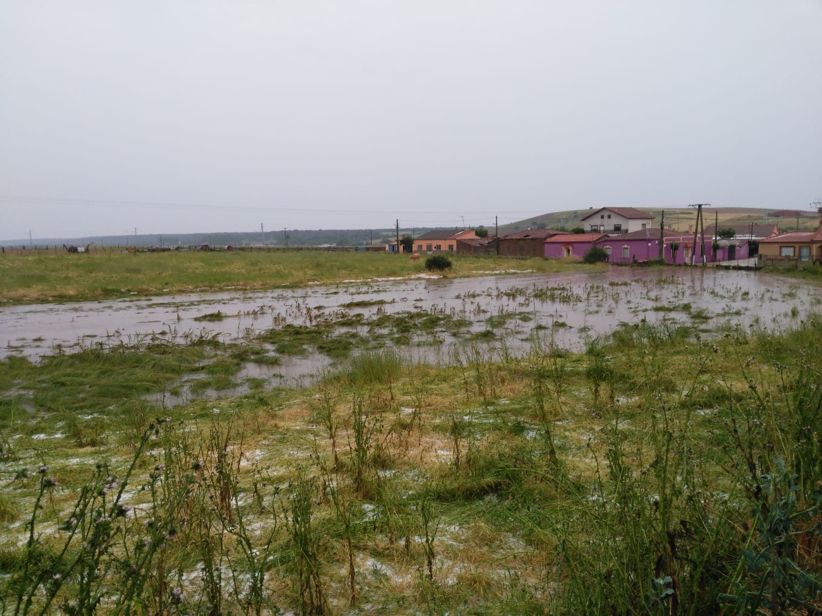 WhatsApp Image 2020 05 31 at 22.05.52 (1)