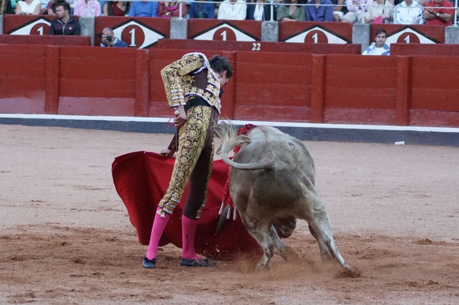 Clase práctica con alumnos de la Escuela de Tauromaquia de Salamanca (Diego Mateos, Noel García y Álvaro Rojo con erales de Esteban Isidro)