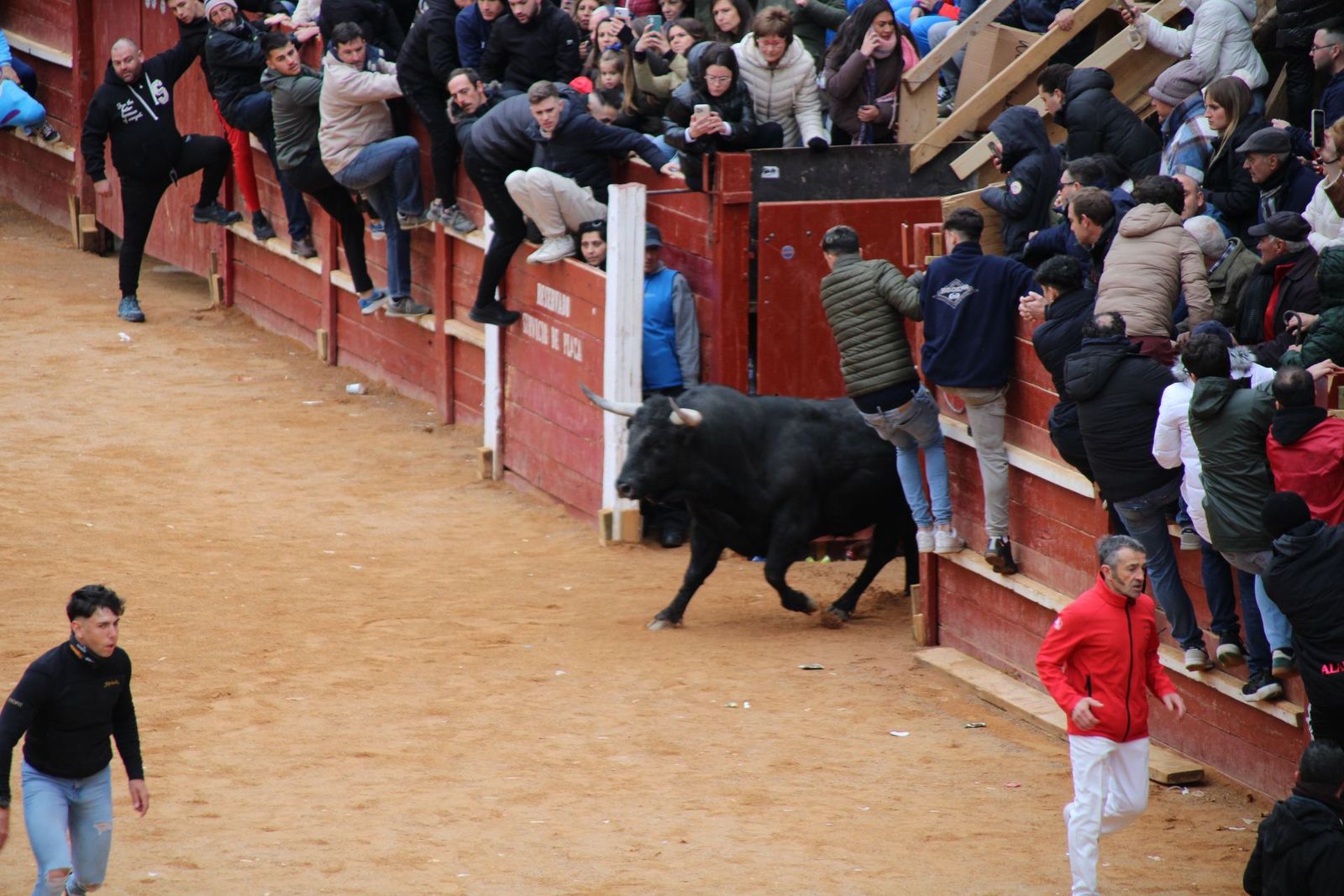Encierro urbano en el sábado de Carnaval de Ciudad Rodrigo