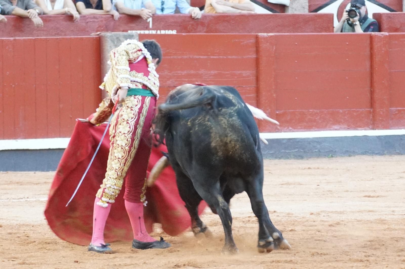 Presencia salmantina por partida doble en la primera corrida de la feria: Damián Castaño e Ismael Martín junto al mexicano Diego San Román