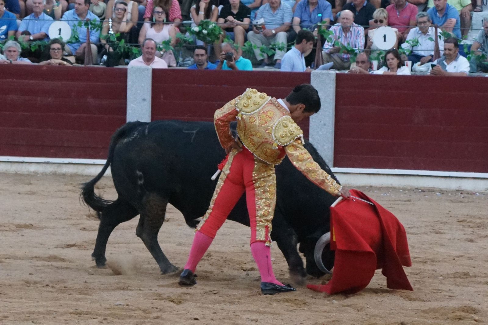 corrida-rejones-guijuelo-37