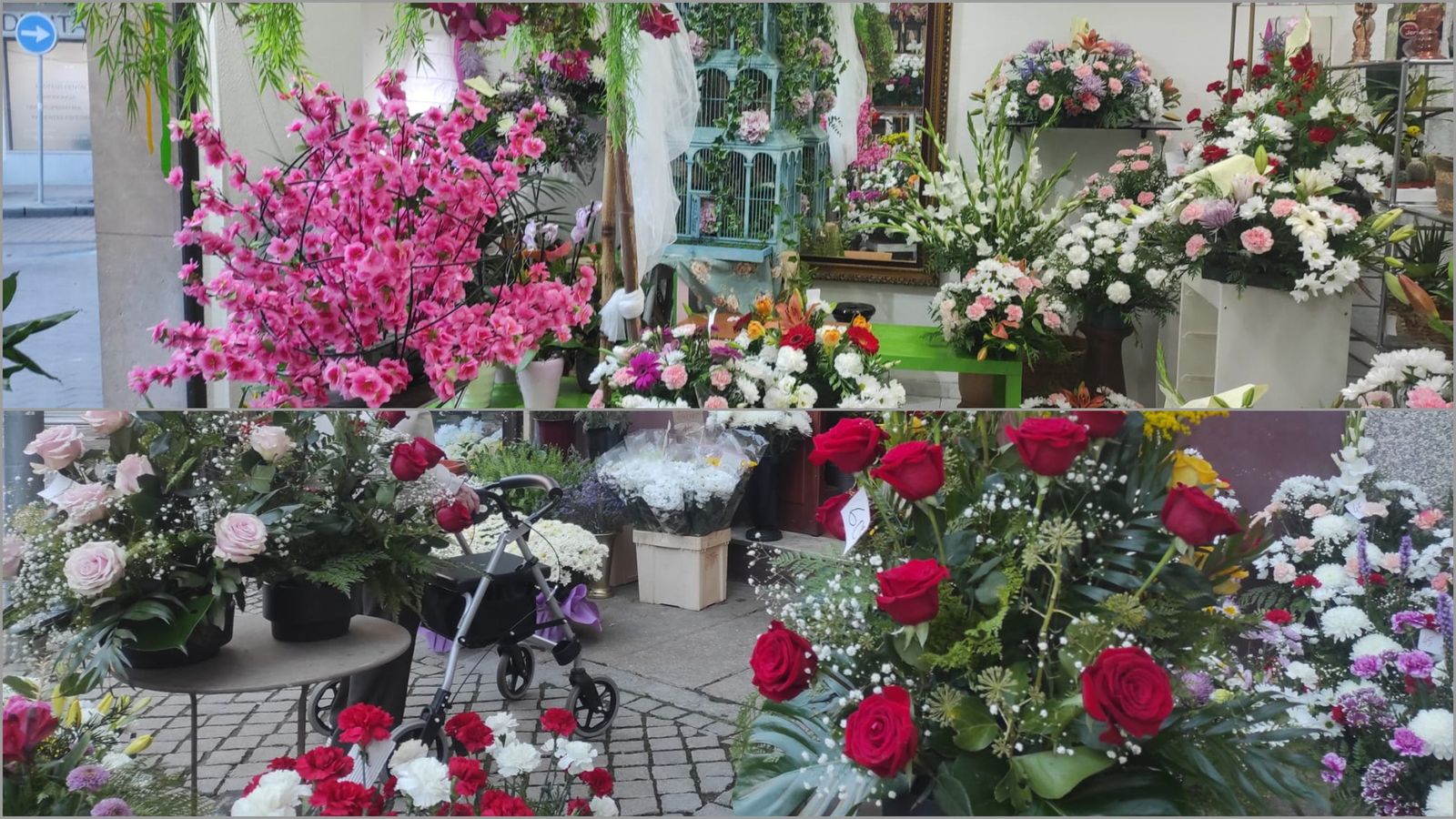 floristerias