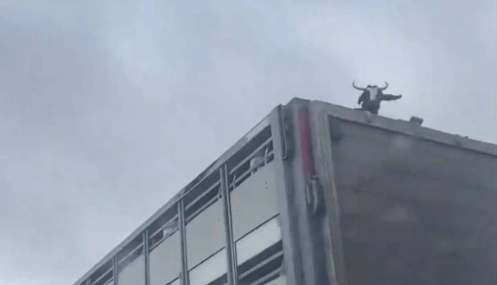 Captura del vídeo viralizado en redes