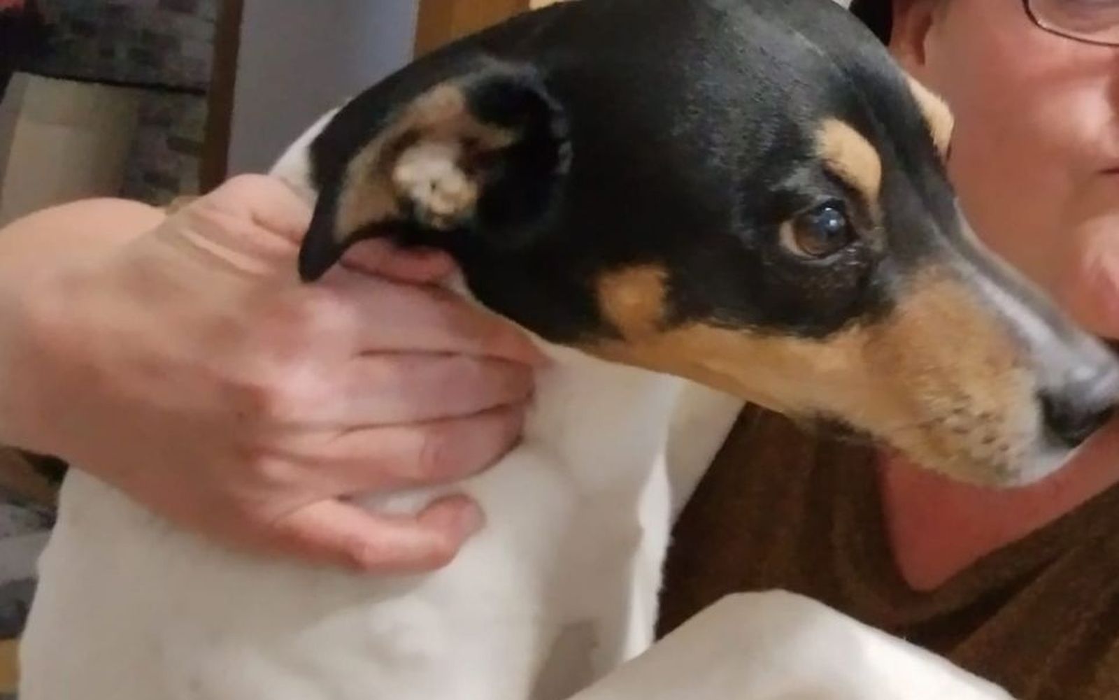 Imagen de Enzo compartido en redes sociales