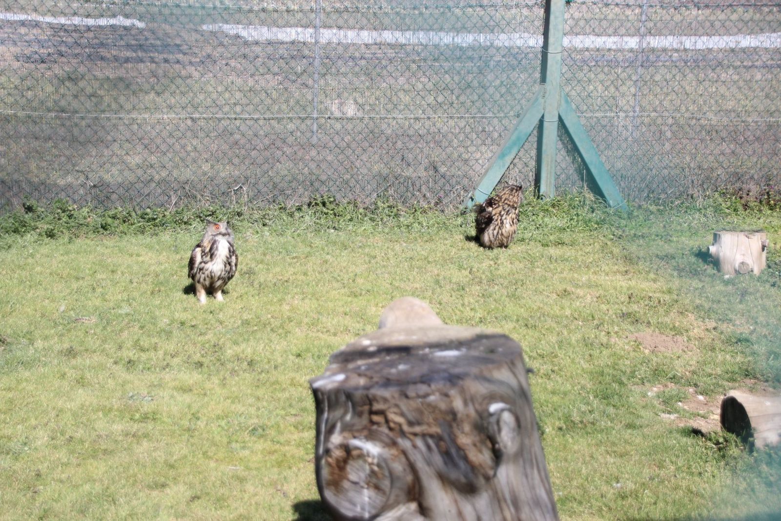 20230304152907-img-1688