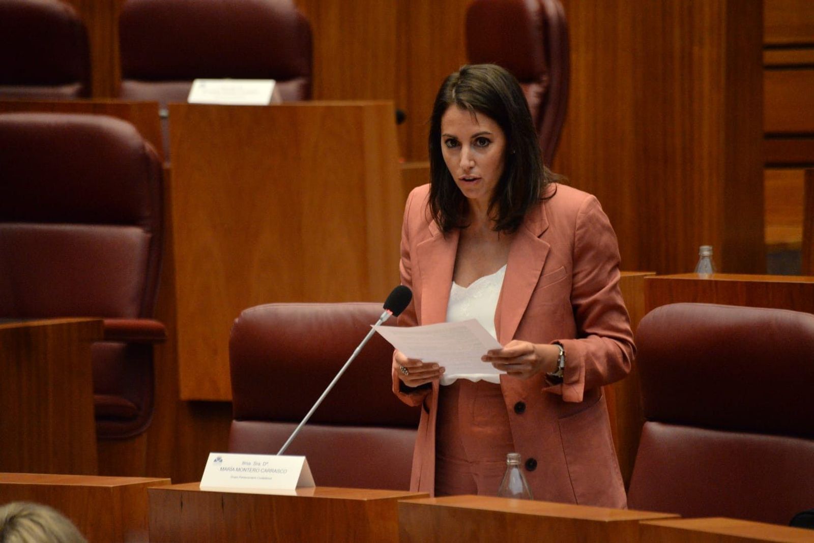 Cs María Montero Pleno CCyL21072020 (3)