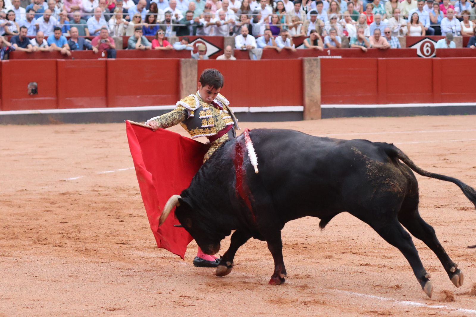 Ismael Martín, Marco Pérez y el aclamado regreso de Morante de la Puebla: su paso por La Glorieta en imágenes
