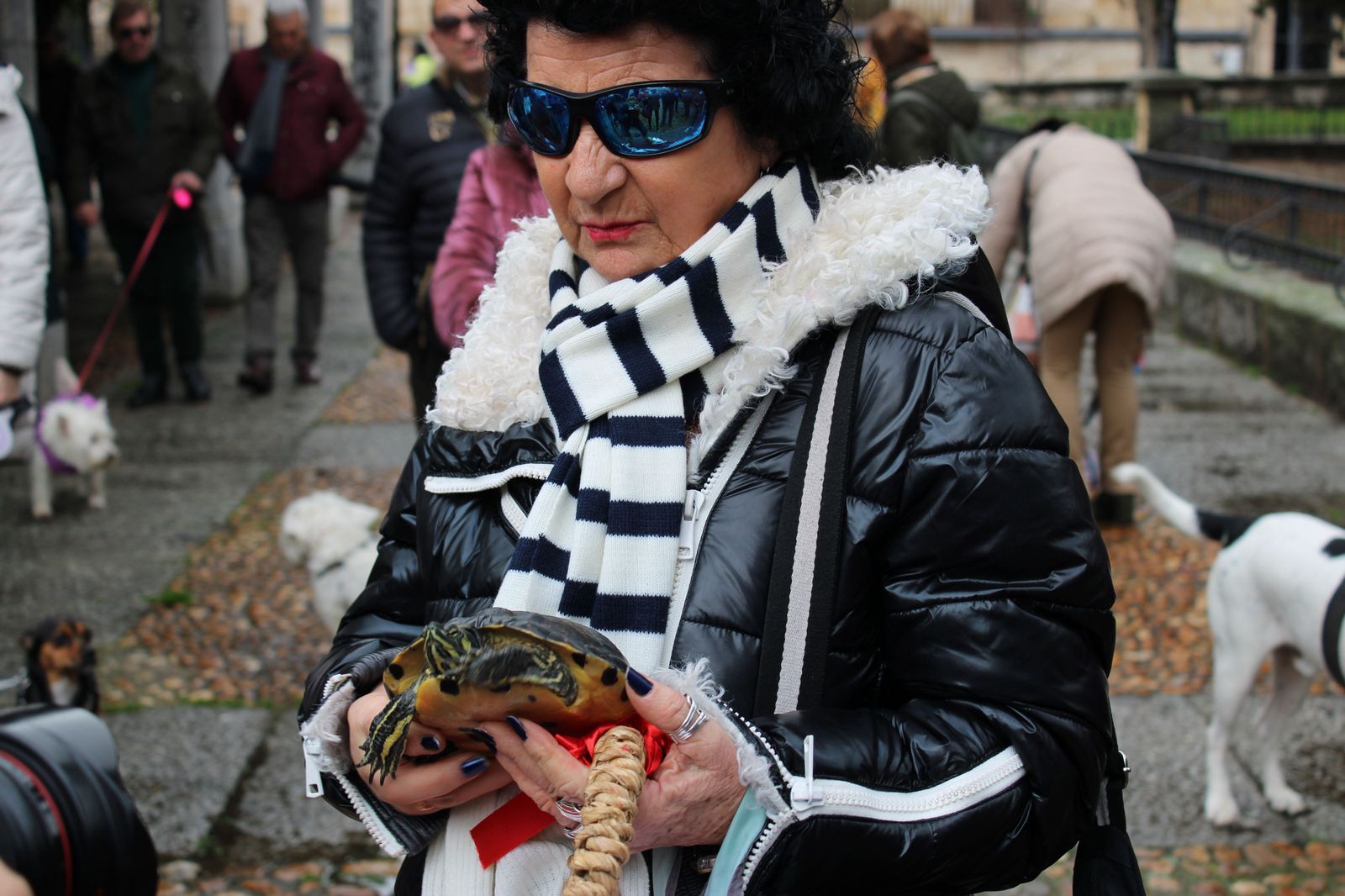 san-anton-bendicion-de-animales-2024-foto-s24h-25