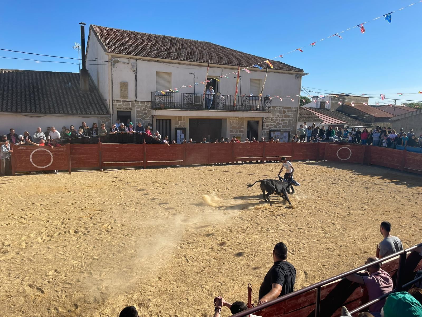 suelta-de-vaquillas-en-cabrillas-10