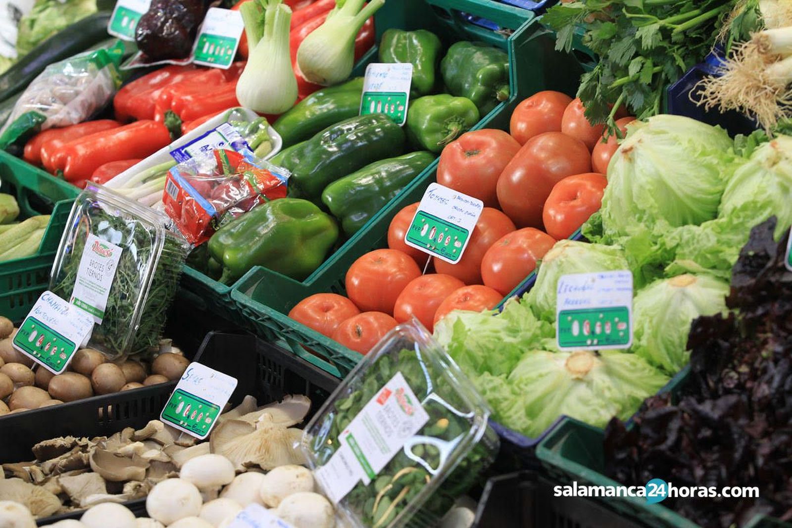 Verdura fruta comida mercado   copia