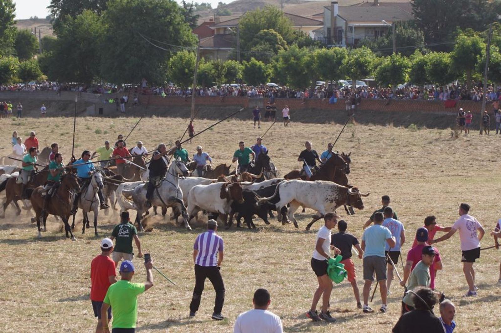 espantes-de-fuentesauco-11