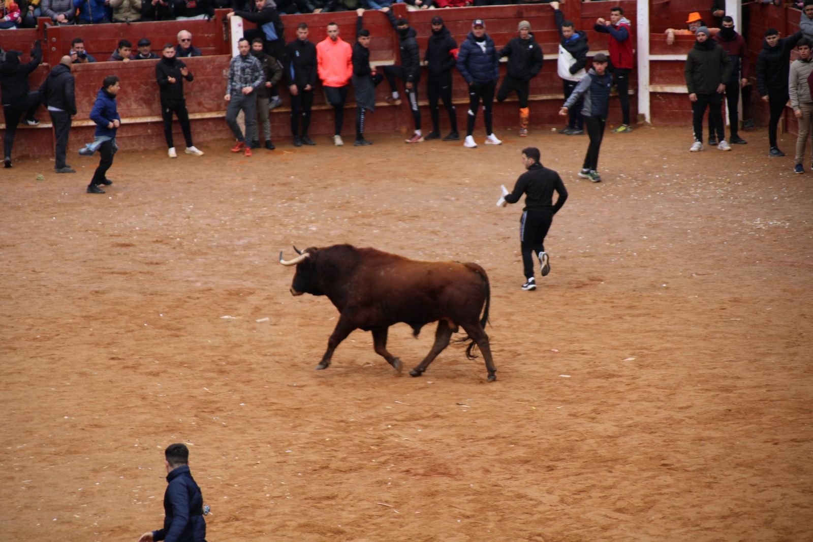 encierro-urbano-martes-de-carnaval-ciudad-rodrigo-2025-19